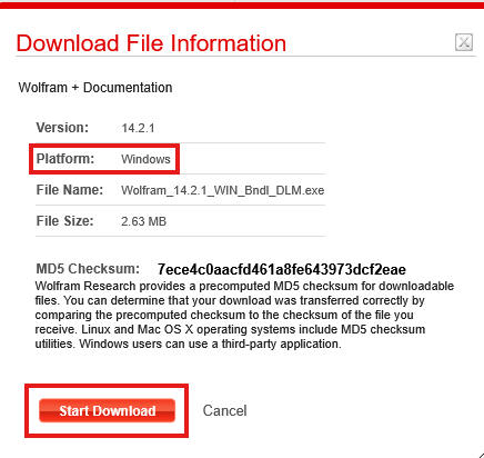 Download File Info