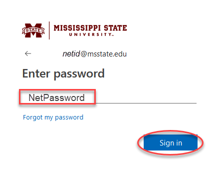 Screenshot for step 3 showing the Enter password screen