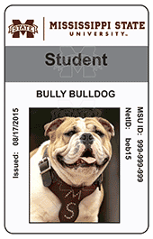 Current ID Card