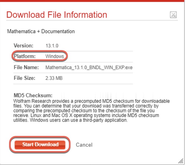 Download File Info